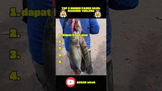 top 5 momen pamer hasil mancing terlucu #short #lucu #viral #fyp