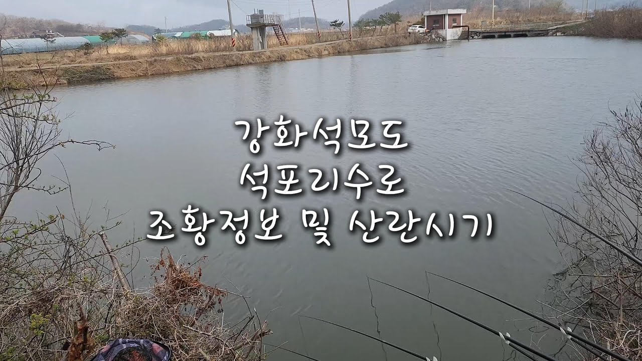 강화도 석포리수로 조행기 # 붕어낚시 # 석모도