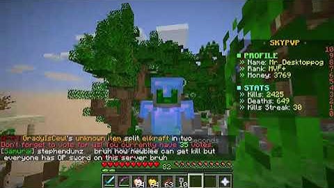 Immortal Realms Skypvp hacker