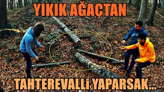 Eğlenceli Belgrad Vlogu 2 Ağaç Kirdik
