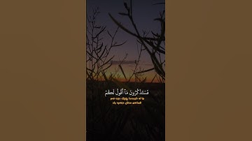 قران كريم لأ تهرب بلأ أسمع