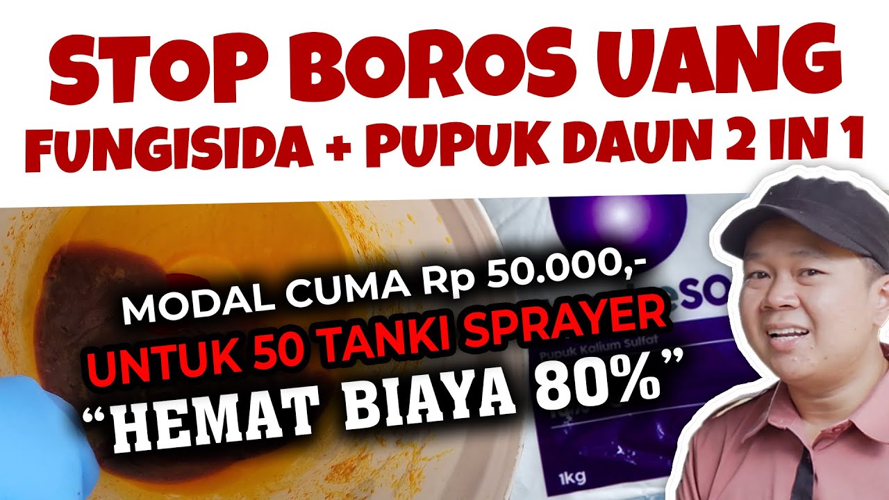 STOP BOROS UANG.❗❗❗ TANAMAN LEBAT BEBAS BUSUK BATANG, RANTING DAN BERCAK DAUN CUMA MODAL RP 50.000,-