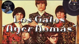Los Gatos - Ayer Nomás (Subtitulado)