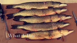 Central MN Darkhouse Spearing - Big Fish!