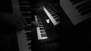 Korgpax3Pa600Zurnashaz