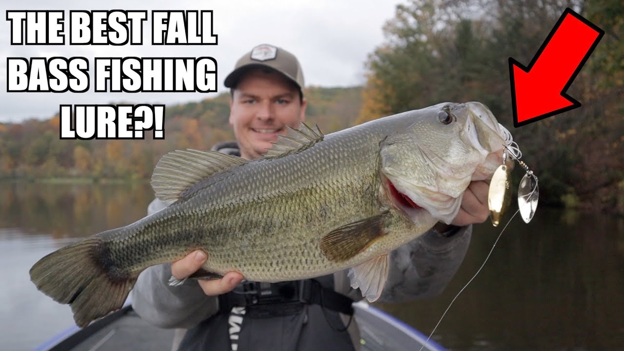 3 Fall Spinnerbait Bass Fishing Tips! - The BEST Fall Bass Fishing Lure?! 