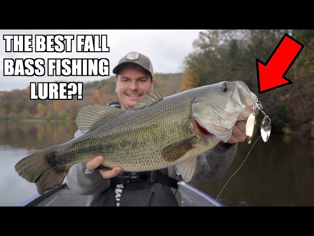 3 Fall Spinnerbait Bass Fishing Tips! - The BEST Fall Bass Fishing