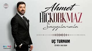 Ahmet Hiçkorkmaz /  Uç Turnam Resimi