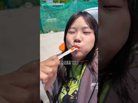님들 이 영상 아니면 보기도 힘든 밤김국 갈치조림🐟🌶 thumbnail