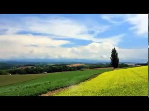 توك تجي امينة فاخت مونتاجي