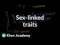 Sex-linked traits | Biomolecules | MCAT | Khan Academy