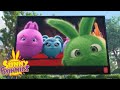 SUNNY BUNNIES - Movie Time | Season 4 | Cartoons for Children