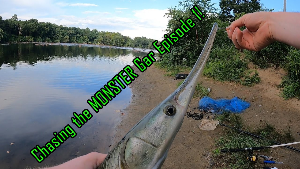 Chasing the Monster Gar Episode 1: Cutting Teeth in the Catawba River