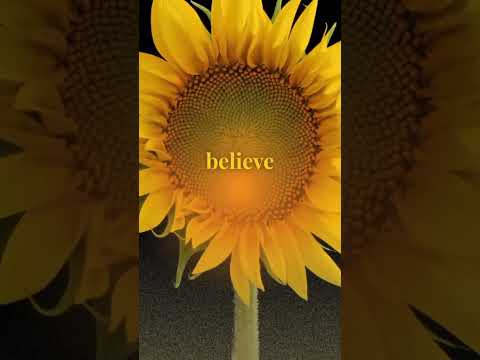 Do You Have Pronoia Pronoia Goodthing Mentalhealth