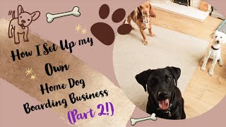 Part 2: Setting Up my Home Dog Boarding Business