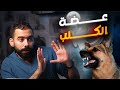 عضة الكلب والطريقة الصحيحة للتعامل معها مرض السعار 
