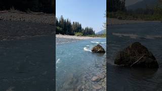 hoh #river // olympic national park, washington. full 4K walking tour on channel! #nature #asmr