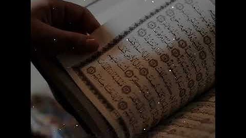 تلاوة من عالم ثاني ⚡♥ أجمل حالات واتس اب دينية مقاطع دينية قصيرة مقاطع انستقرام دينية