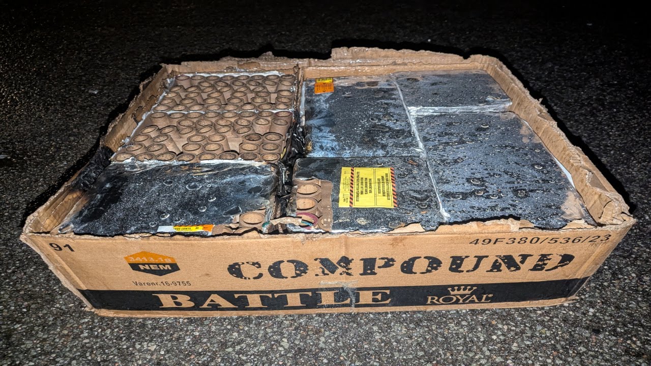 Mit Nytår 2024/2025