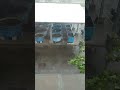 台風3号 20240725 二階から屋外水槽
