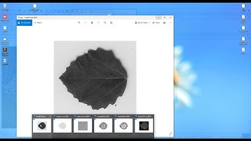 Leaf Vein Image Classification in Python Projects