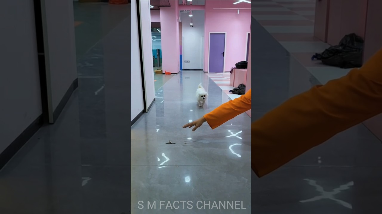 चलो हाथ लम्बा करके चाबी उठा लेता हूं 😍🤩