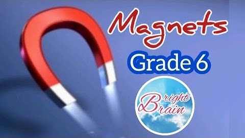 Grade 6 science MAGNETS English medium