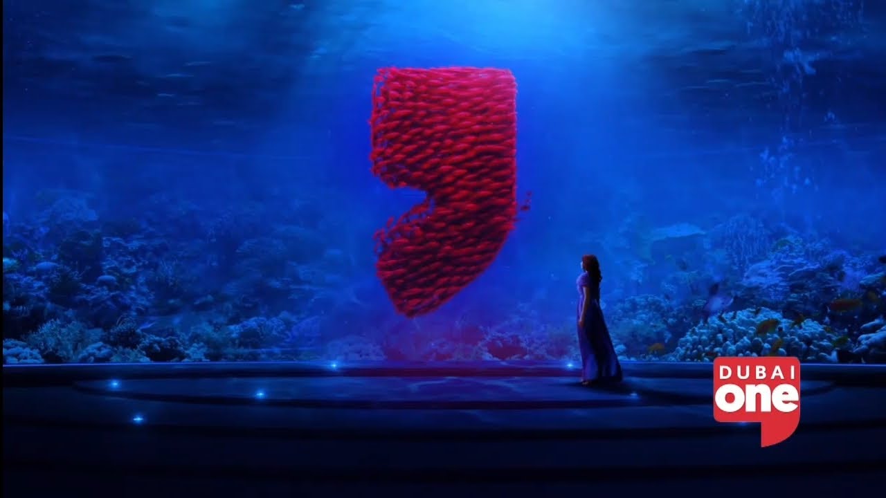 [UAE] Dubai One Continuity and Advert Breaks (30th of January, 2026)