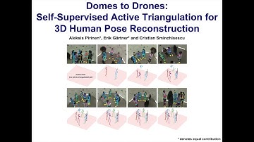 Domes to Drones: Self-Supervised Active Triangulation for 3D Human Pose Reconstruction