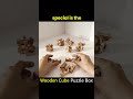 Challenge Your Mind with the Tricky Wooden Cube Puzzle Box 🧩