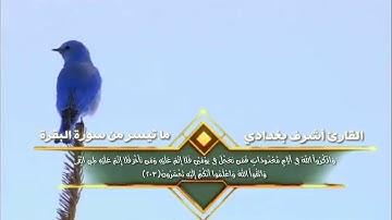 تلاوة في قمة الخشوع والسكينه 💚