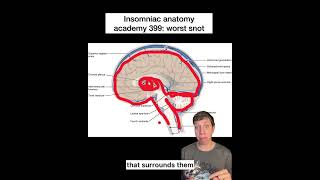 Insomniac anatomy academy 399: worst snot #science #stem #anatomy #brain #sciencefacts