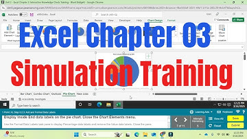 Excel Chapter 3 Simulation Training | Excel Simulation Training |  @PearsonSolution