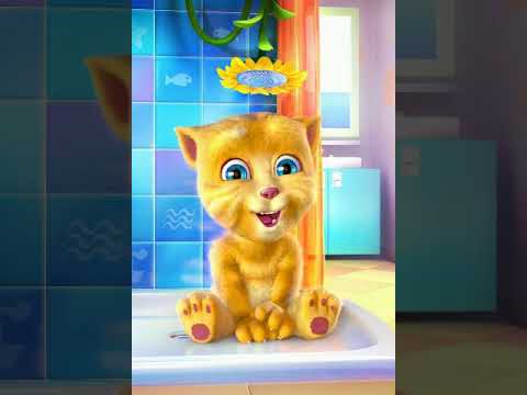 cute-pashto-funny-talking-cat-voice-for-kids-|-talkingginger-funny-video-for-baby
