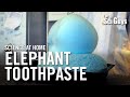 Elephant Toothpaste Experiment Quiz