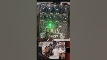 Fuzz Imp Amity on bass guitar #demo
