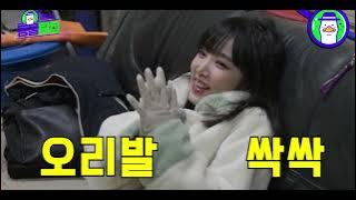 지챠 귀여운 최예나.zip