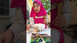 I Fed My Cat Biscuit Sticks… Shocked Me! 😱