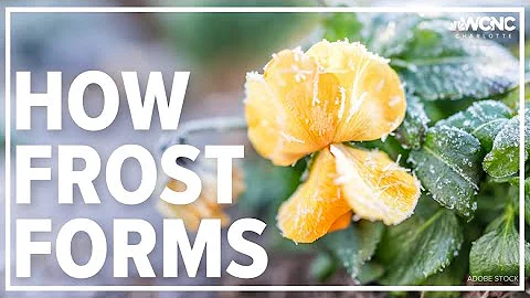 How does frost form?