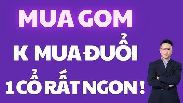 🟢 MUA GOM - KHÔNG MUA ĐUỔI, 1 CỔ NÀY CỰC NGON ĐỂ ĐẦU TƯ !