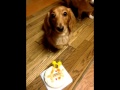 千晃ちゃんHappy birthday🎂