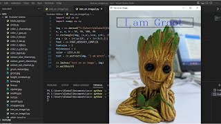 24. Write text on an image using openCV and Python- Part 2 Wealth