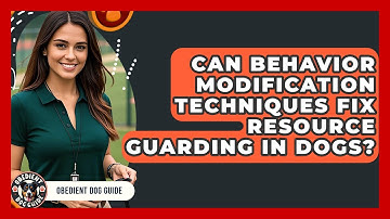 Can Behavior Modification Techniques Fix Resource Guarding in Dogs? | Obedient Dog Guide
