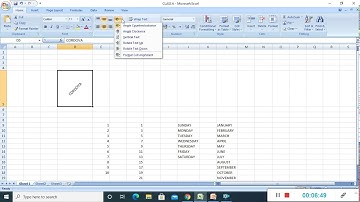 CLASS 6 COMPUTER CHAP 5 MORE ON MS EXCEL PART 5
