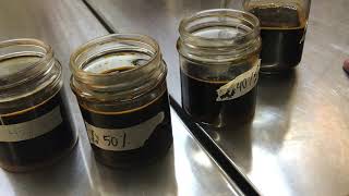 Science Fair - Fermentation with Molasses