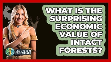 What Is The Surprising Economic Value Of Intact Forests? - Ecosystem Essentials