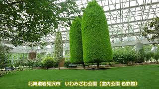 ダイアナ 山下敬二郎 hide560 239