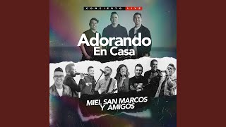 Video thumbnail of "Miel San Marcos - Eres Todo Poderoso"