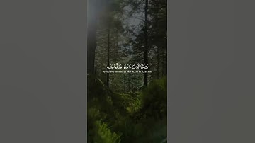 إِنَّ اللَّهَ وَمَلَائِكَتَهُ يُصَلُّونَ عَلَى النَّبِيِّ ۚ | القارئ الشيخ أحمد النفيس