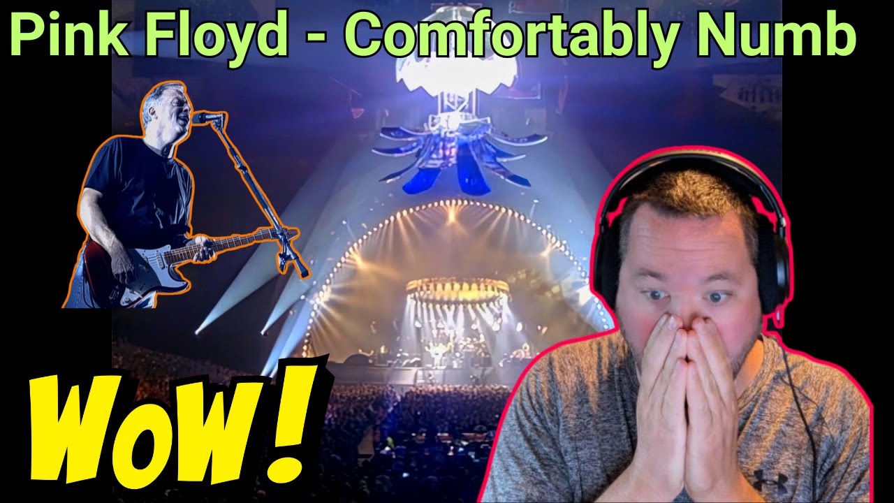 Pink Floyd - Comfortably Numb - pulse concert - Reaction - SO MAGICAL!